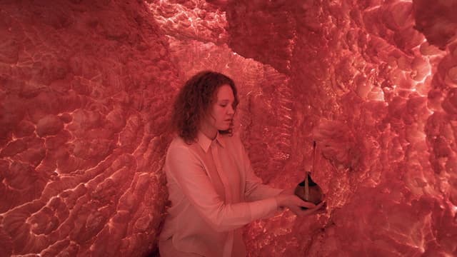 THE WOMAN WHOSE HEAD WAS AN ASTEROID