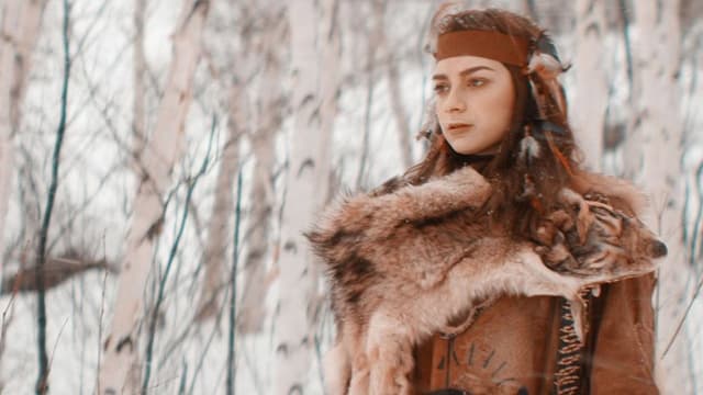 Hunting the Northern Godard