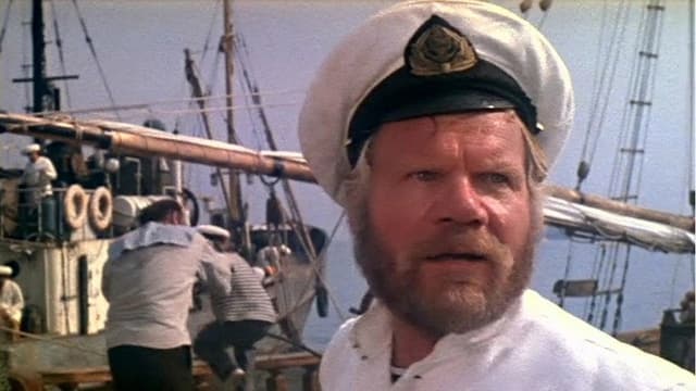 The New Adventures of Captain Vrungel