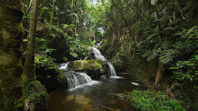 Hawaii