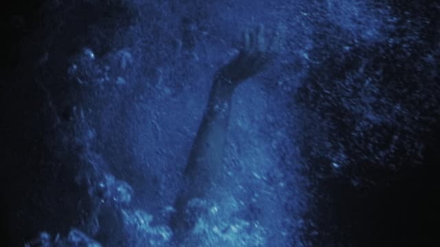 Los melocotones no flotan en el agua