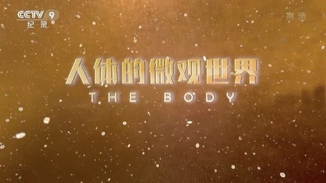 人体的微观世界