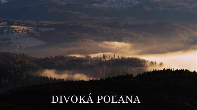 Divoká Poľana: V medveďom vulkáne