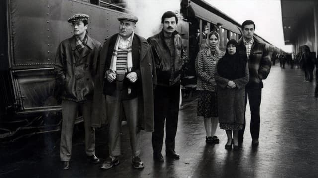 Birds of Exile