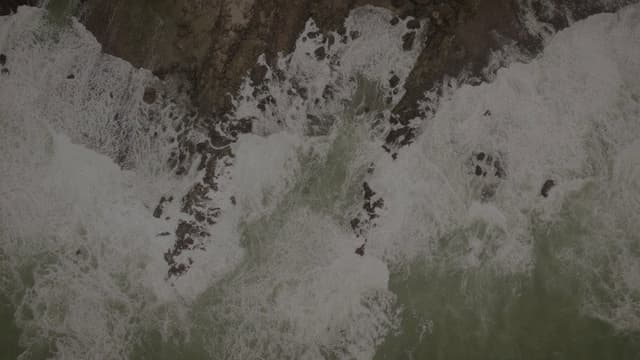 The Waves Saga