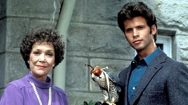 Falcon Crest
