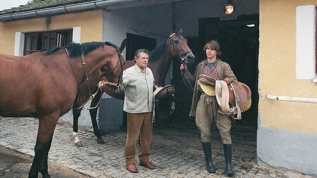 Obyčejná koňská historie