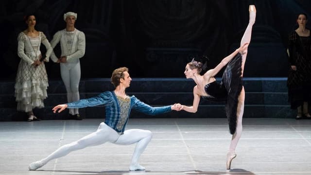 Swan Lake