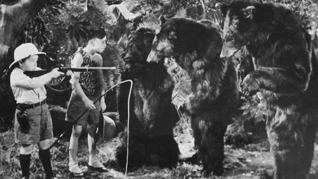 Bear Facts