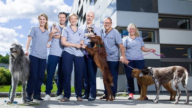 Veterinærene