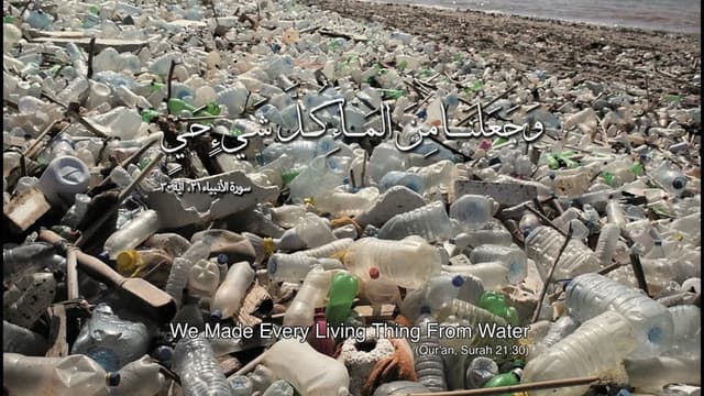 We Made Every Living Thing from Water