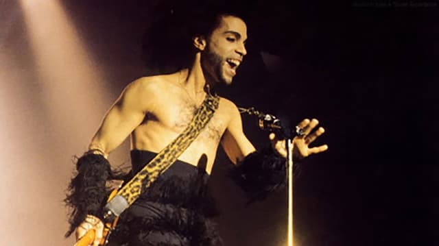 Prince in Tokyo '90 Nude Tour