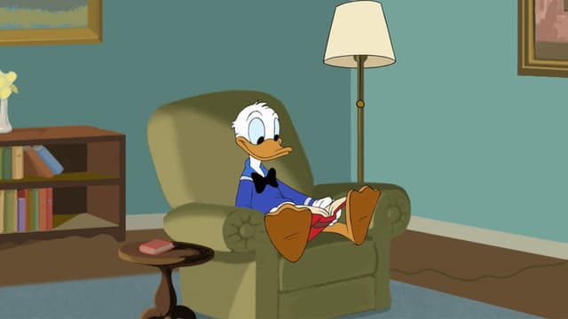 D.I.Y. Duck
