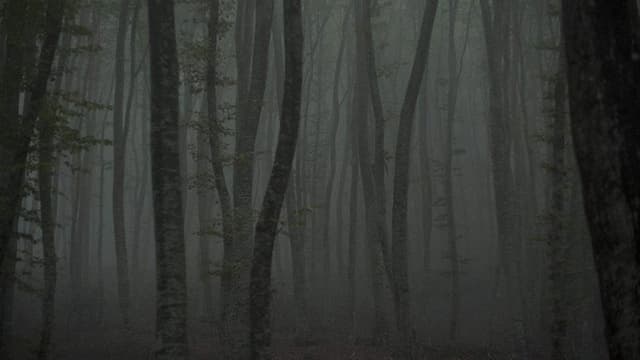 Refuge II: The Ice Path