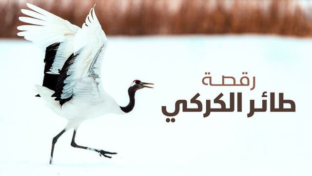 Dance Of The Crane