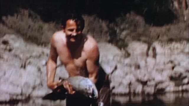 Fish Tales
