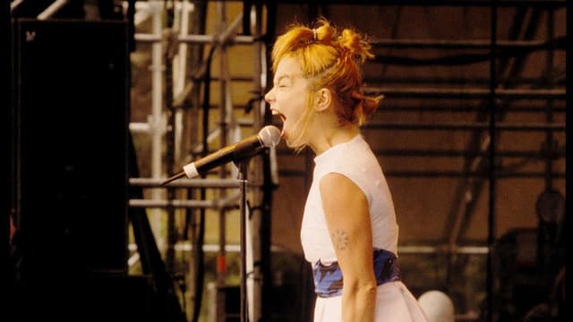 Björk: Tibetan Freedom Concert