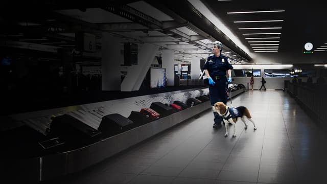 To Catch a Smuggler