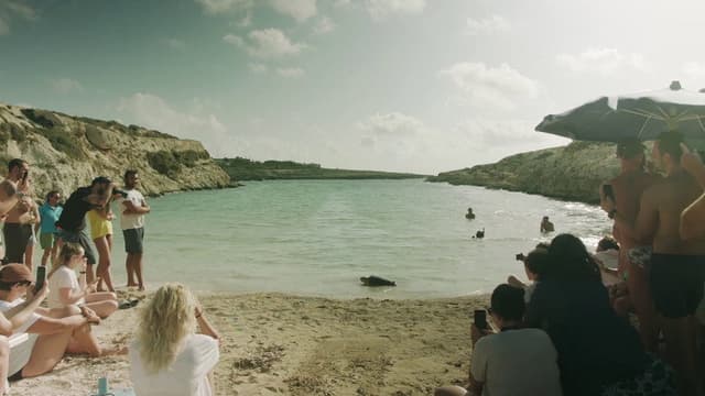 The Last Island