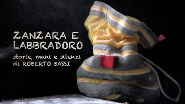 Zanzara e Labbradoro - Storie Mani e Silenzi di Roberto Bassi