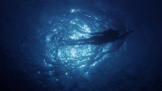 Jaws, a Monstrous Success