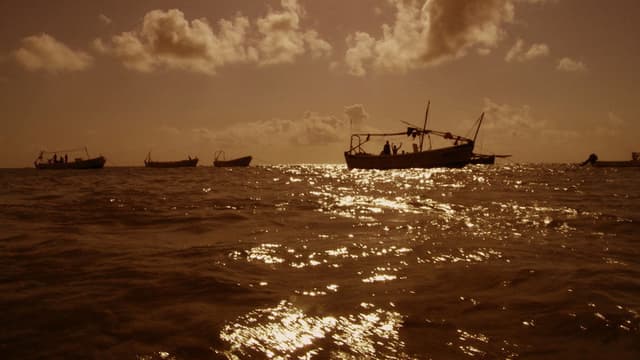 Pirating Pirates