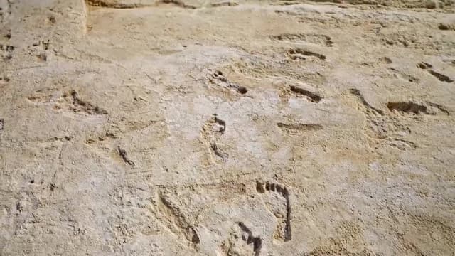 Amérique, la nouvelle histoire des premiers hommes