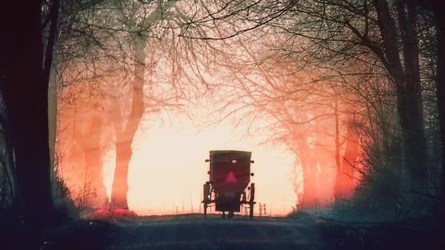 Murder in Amish Country