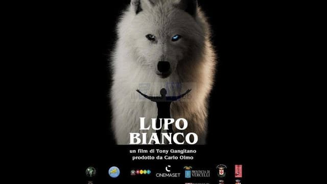 White Wolf