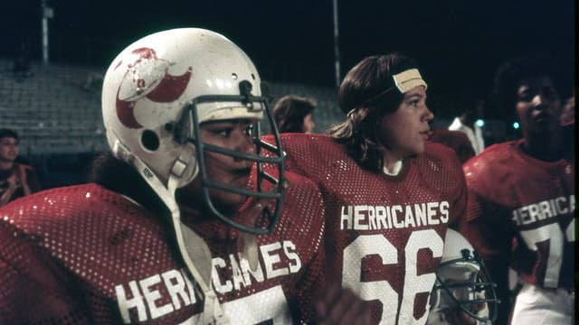 The Herricanes