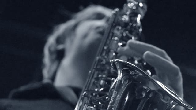 THE SOLO