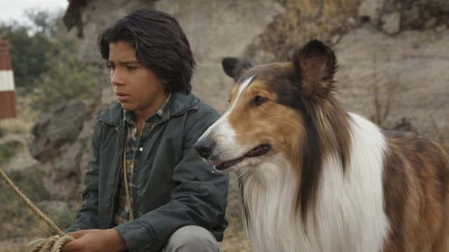 Lassie: The Adventures of Neeka