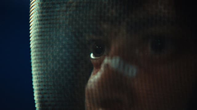 The Fencer