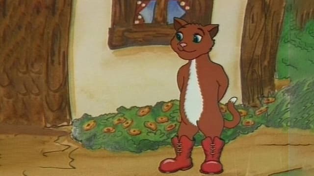 The Cat on Boots