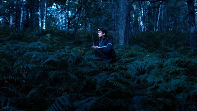 Mondes Sauvages : Chauves-souris, les sentinelles de la forêt