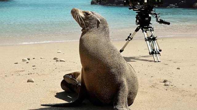 Guardians of the Galapagos