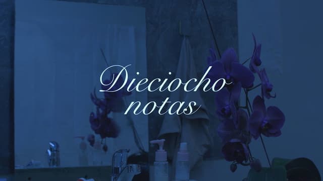 Dieciocho Notas