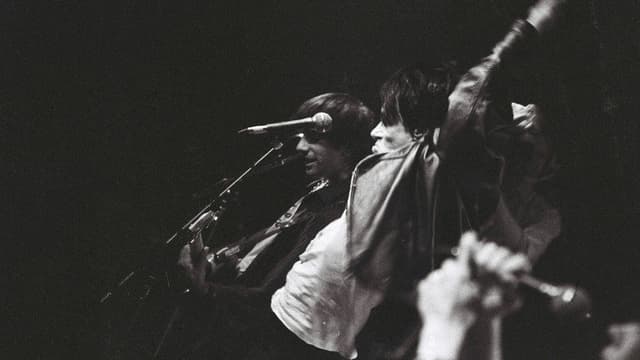 Sonic Youth: Screaming Fields of Sonic Love