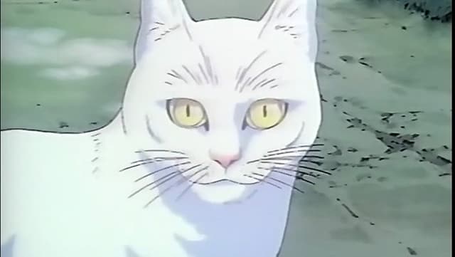 Licca the Movie: Licca-chan to Yamaneko Hoshi no Tabi