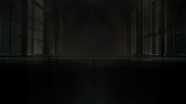 The Last Defense