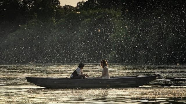 Mayflies