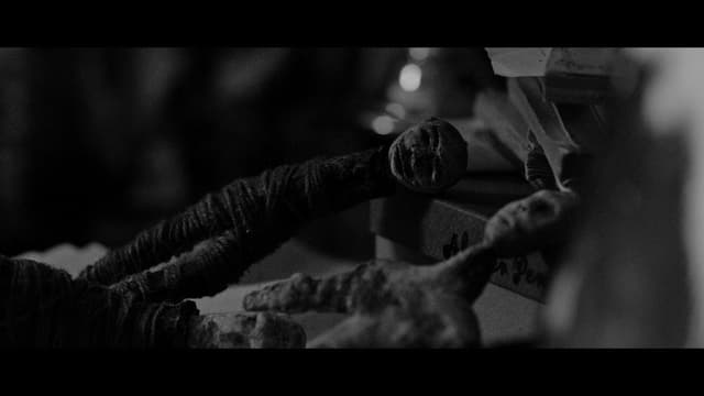 Déjà Voodoo