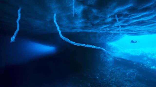 Antarctica, in the footsteps of the Emperor
