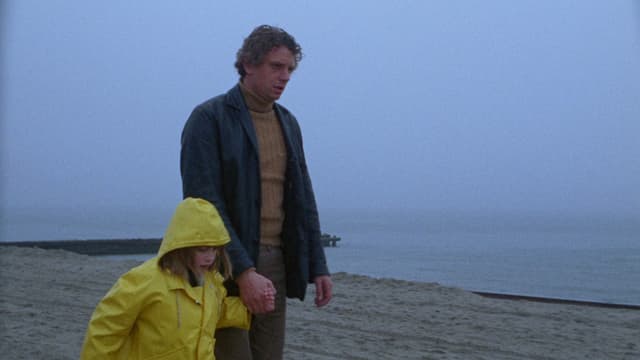 A Day at the Beach