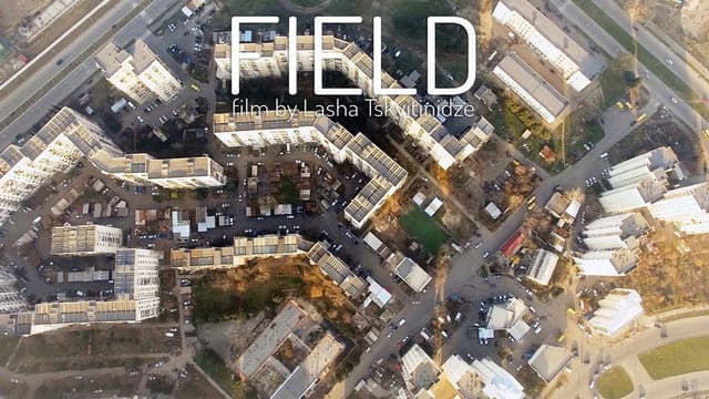 Field