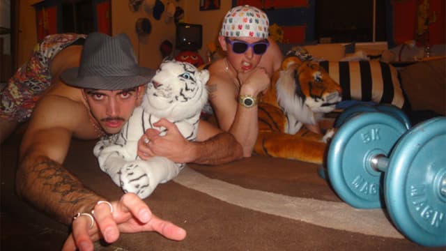 THE ANIMALS GET TATTOOS