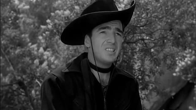 King of the Bullwhip