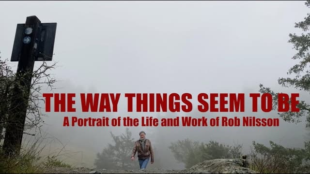 The Way Things Seem to Be