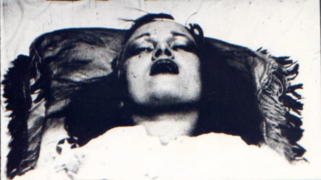 Ecstatic Stigmatic