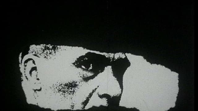 Report on Brazil: Carlos Marighella